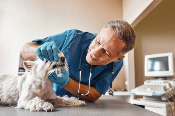 Best Emergency Tooth Extraction in Legend Lake, WI